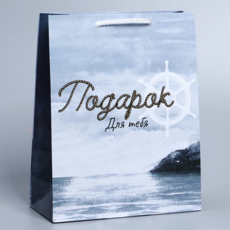 Пакет ламинированный "Present for you" 6582740